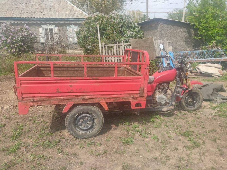 Моторолер муравей