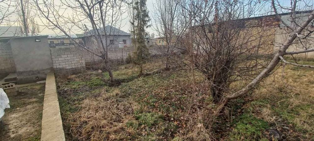 СРОЧНО Янгийул т.н Чаманзор Кора тепа махалласи М39 Тошкент Самарканд