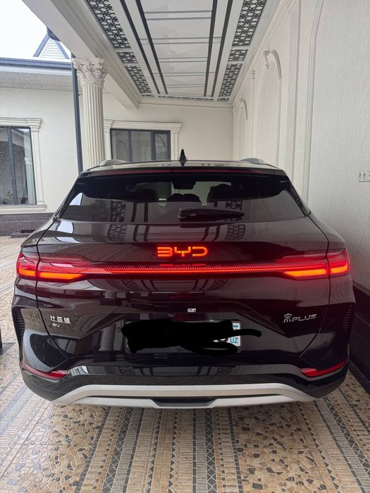 BYD  Chenpiyon 2024,2025 restayling 605.