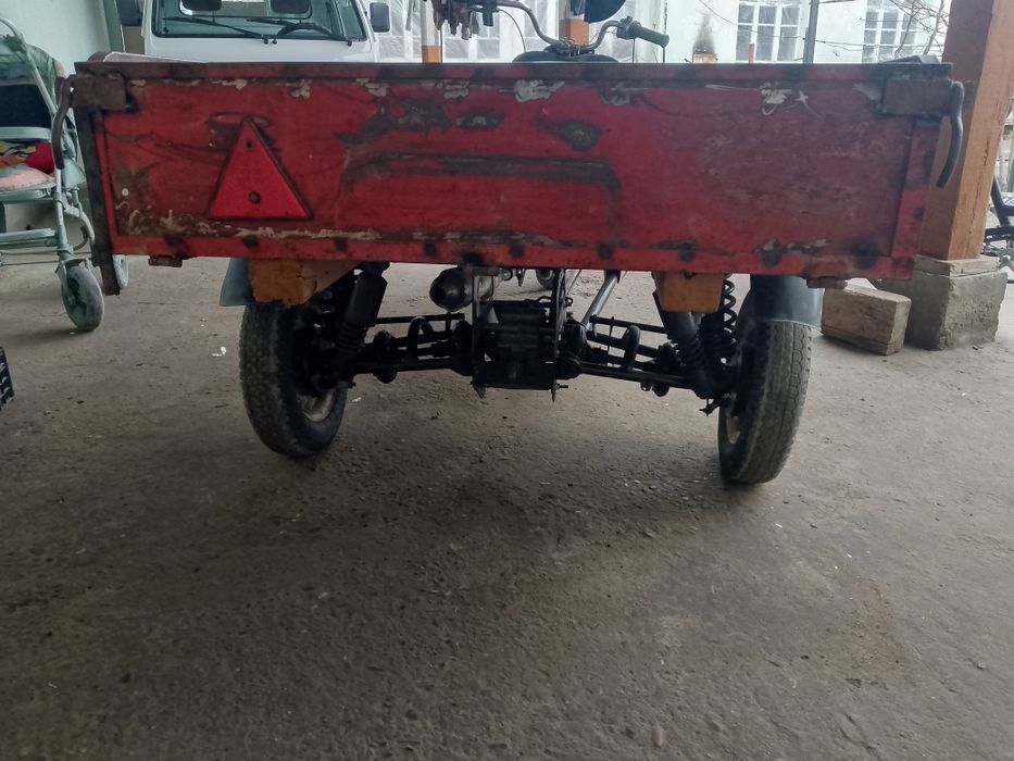 Муравей Тула СССР