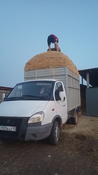Майда сабан бар,,,