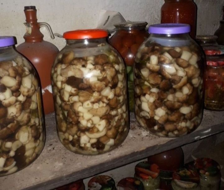Грибы солёные, валуи, бочковые