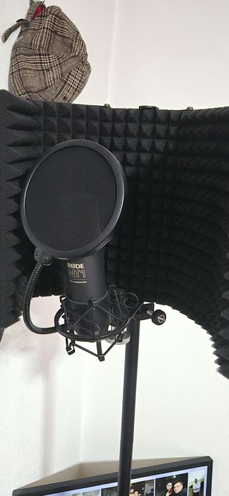 Placa de sunet Apollo ,Sunt in stare foarte bună, !!!