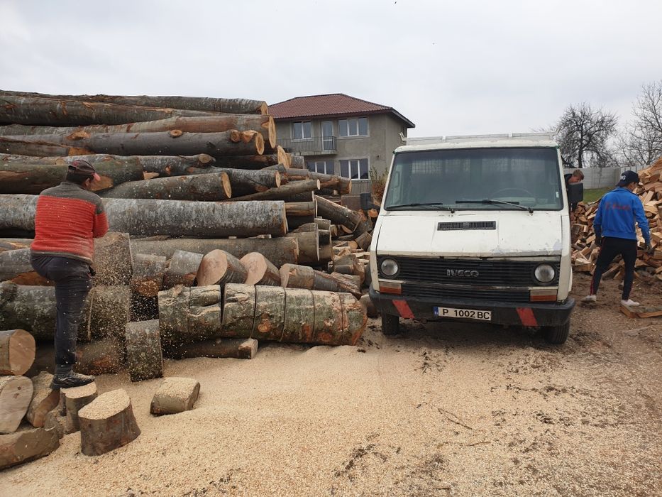 Lemn de foc fag uscat ținut în hala , nisip balastru