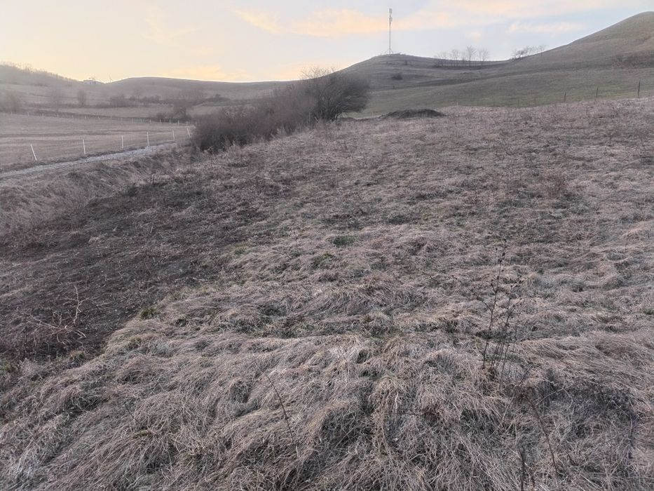 Vând sau Schimb Teren Extravilan