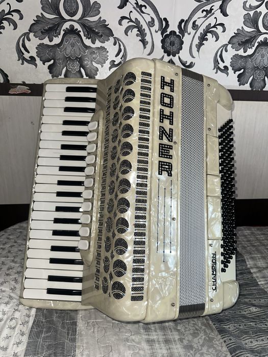 Acordeon Hohner Champion