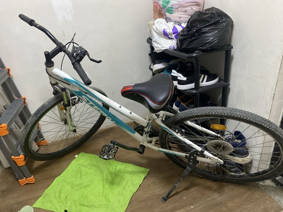 Стерн велик срочно