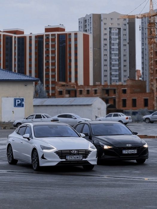 НОВЫЙ Elantra 2022 Без водителя аренда прокат авто машин Автопрокат ...