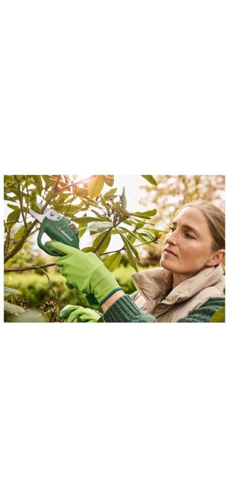 Foarfeca Gradina Vita Vie Crengi Trandafiri Parkside