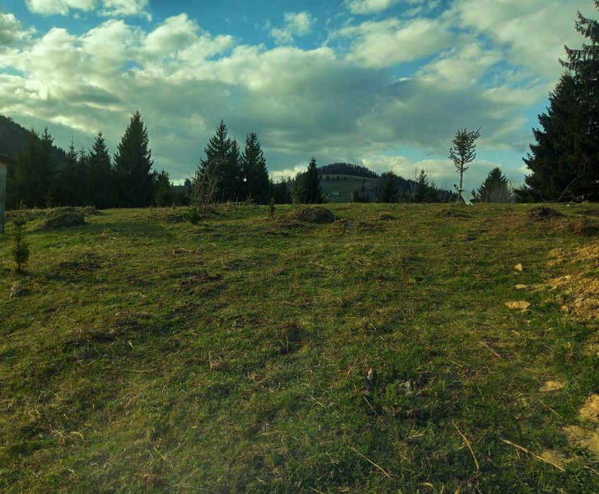 Teren 10 arii – Obcioara / Piatra Fântânele, aproape de Tășuleasa Soci