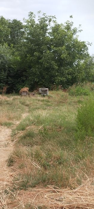 Букв МФЙ Қалғанср кочаси