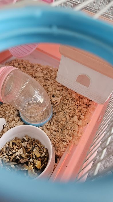 Клетка для хомяка