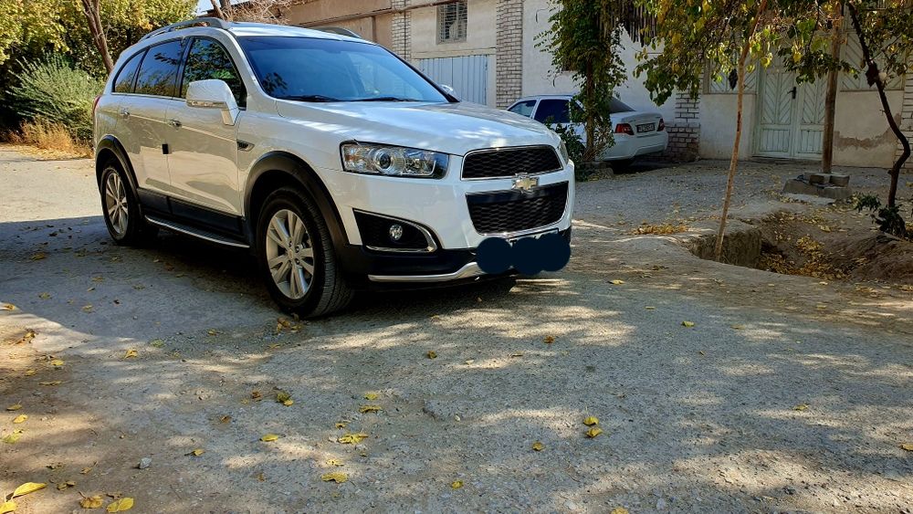 2016 йил  йил гайан салонон