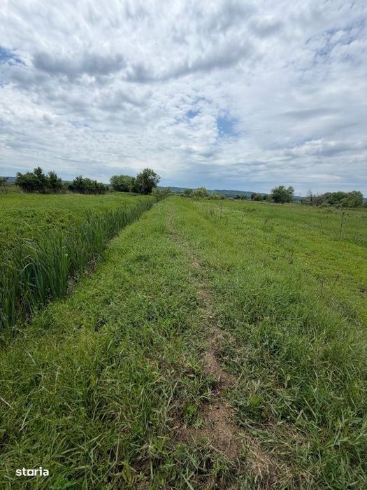 Teren de 6000 mp, vizavi de gara din Filiasi
