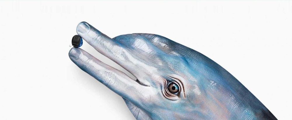 Eshitish moslamasi Слуховые аппарат Dastgohi shunavoy Дастгоҳи шунавоӣ