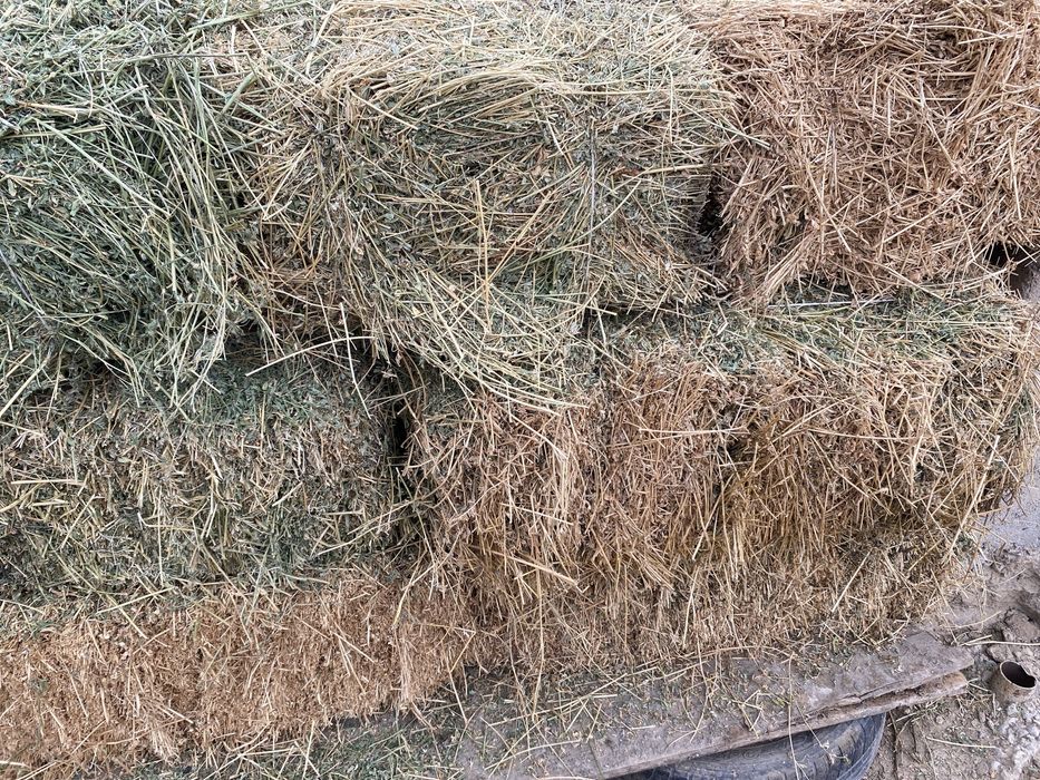 Жоңышқа пресс сатылады