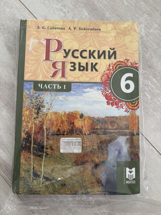 Русский язык 6 класс 2 части