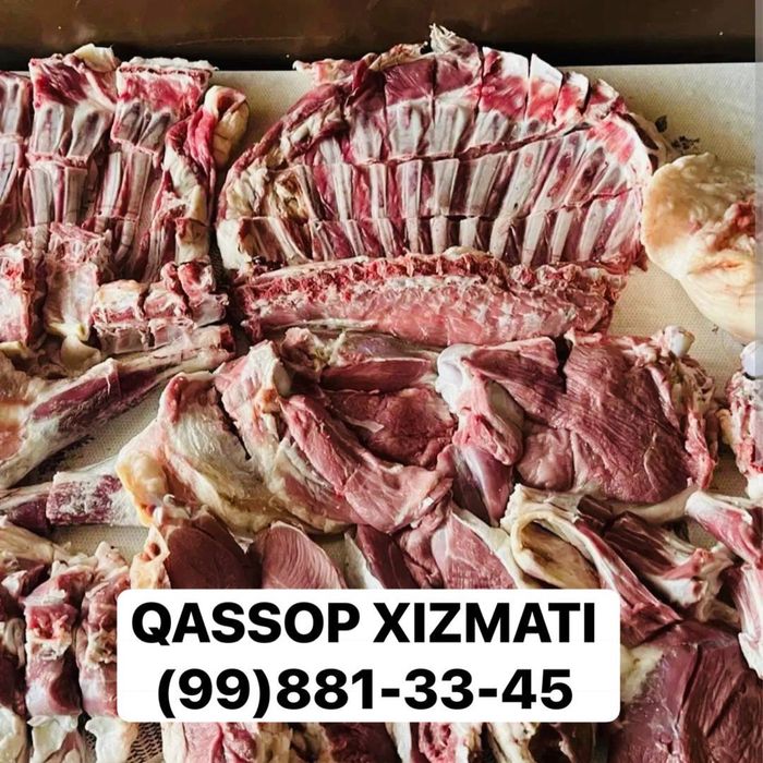 Qassop xizmati xalol pokiza sifatli Adres bo'yicha chaqiruv xizmati bo