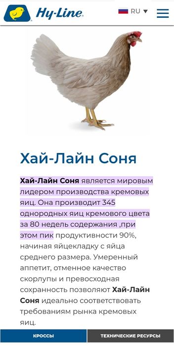 1 2 3 ойли Хай-лайн соня жужалари сотилади. Цыплята Jojalar