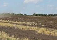 Участок Сельхоз направления