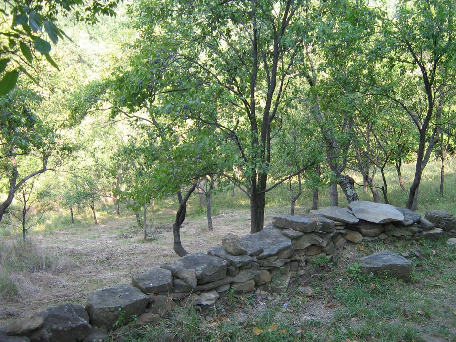 Продава се Къща в с. Белиш, Област Ловеч - 60 кв.м за 334 €/кв.м - Снимка #2