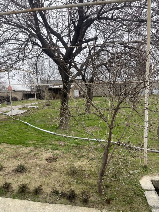 Tashmi postidan 9 km kirganda 14.4 sotix