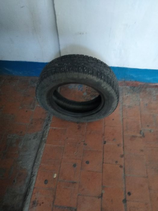 Продам шину зимнию 185/65/14