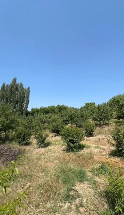 Progress (Fayzobod)dan Dacha Sotiladi