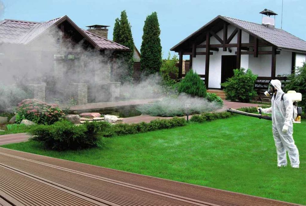 Dezinfeksiya pasha chivin tarakan chayon дезинфекция мух комаров клоп