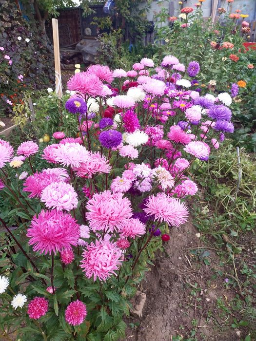 Продам дачу, в районе Пригородны, Черемушки