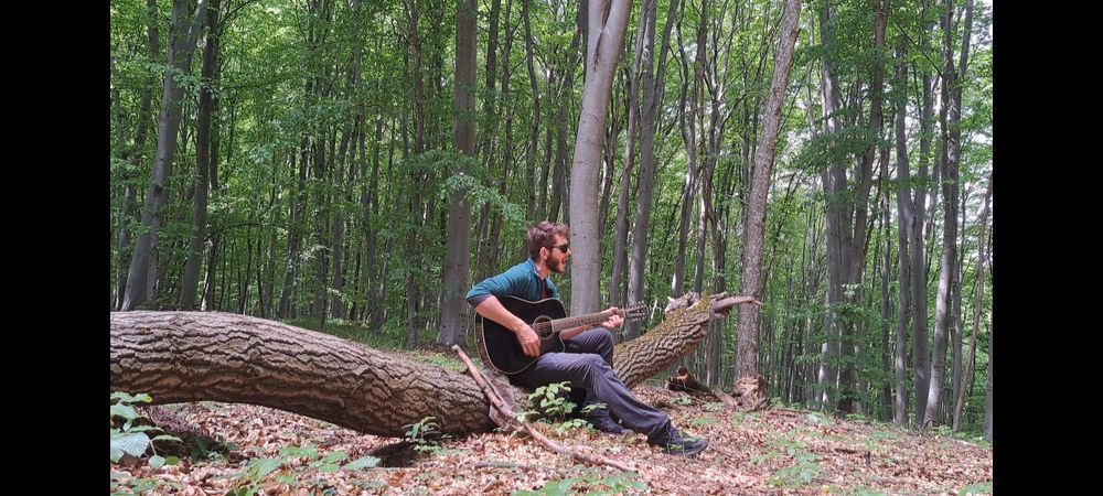 Meditații de Chitară Acustică/Electrică/DoubleSix