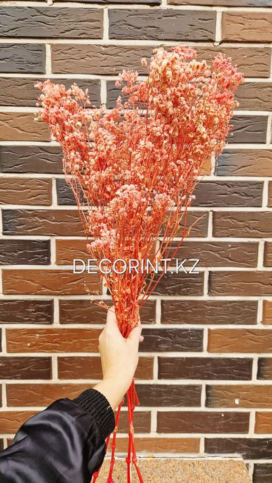 Гипсофилла стабилизированная