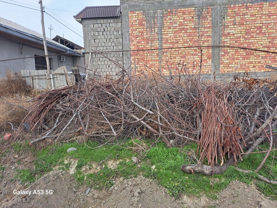 Утин, мевали дарахт, новойлар, самсачилар учин тандир учин арзон