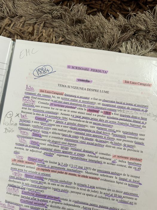 Materiale Romana Bac Eseuri+sub I+II+ Competente