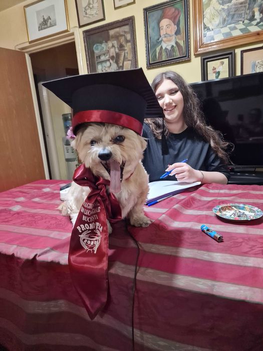 Meditatii matematica