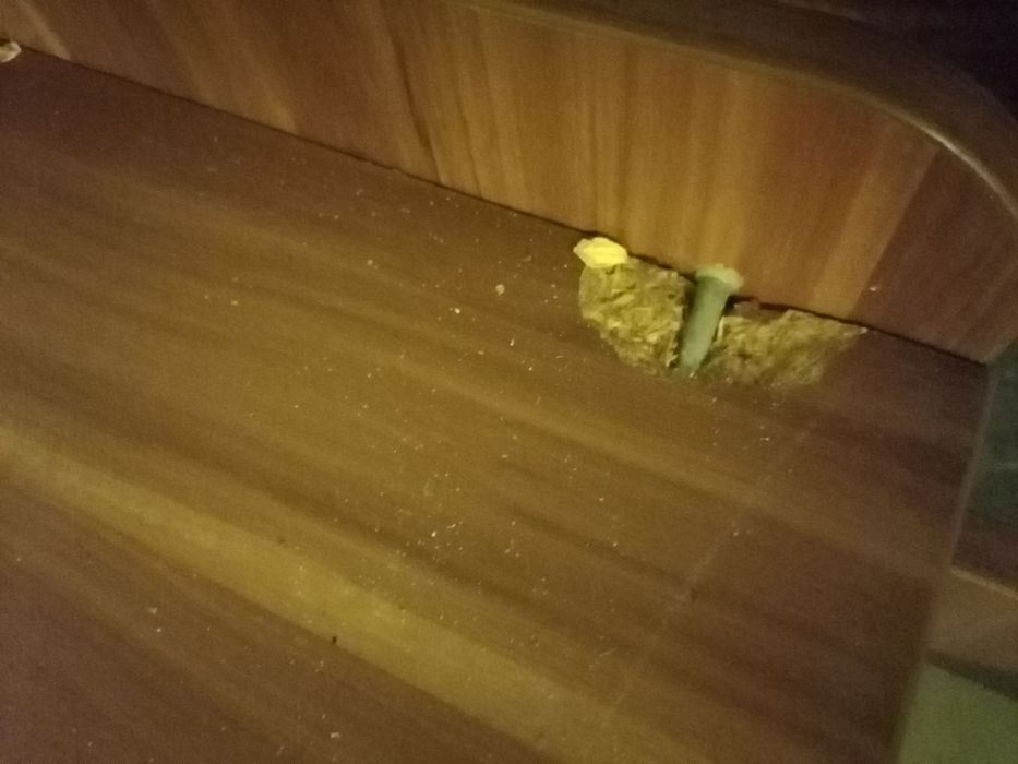 стул требуется ремонт, тумбочка