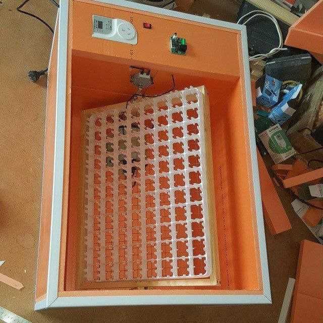 Лоток для Инкубатора