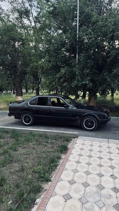 Обмен корем жбериндер