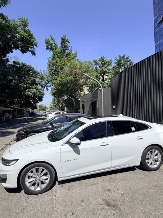 Malibu Premier Turbo 2022