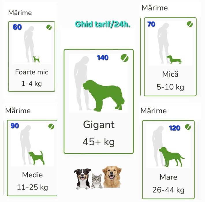 Cazare / Pensiune câini si animale de companie.
