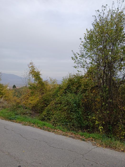 Продава се Парцел в Кюстендил, Център - 1000 кв.м за 50 €/кв.м - Снимка #4