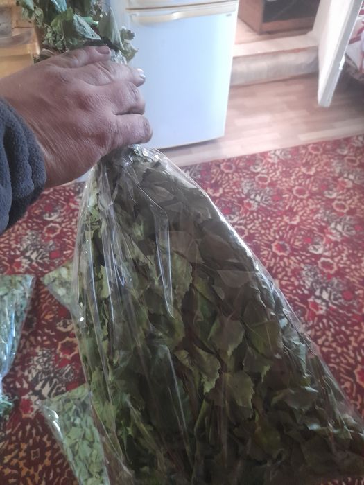 Продам безовые веники 1200