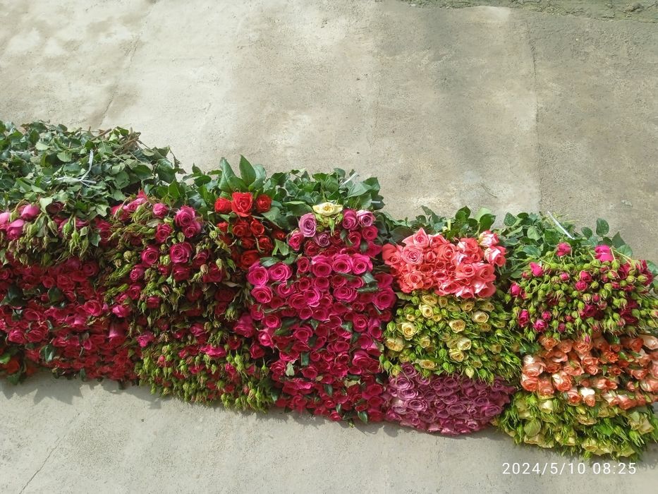 Atirgullar har hil gullar bor