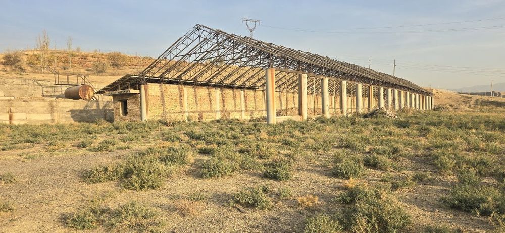 Паркент. Ферма КРС. 15 га. Доимий.