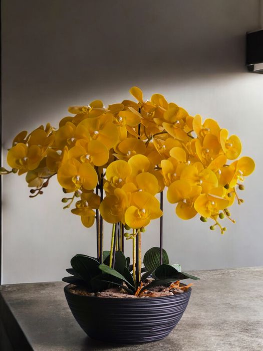 Компазиции из искувенных Орхидеи (Орхидея)