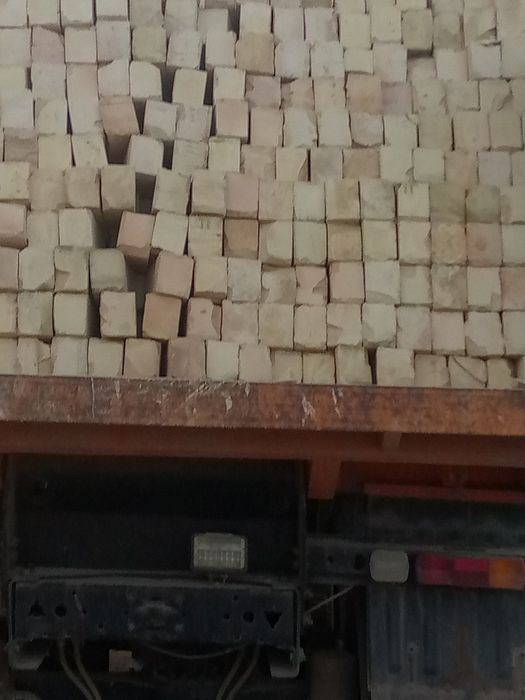 Gʻisht paltarashka kattaqoʻrgʻin