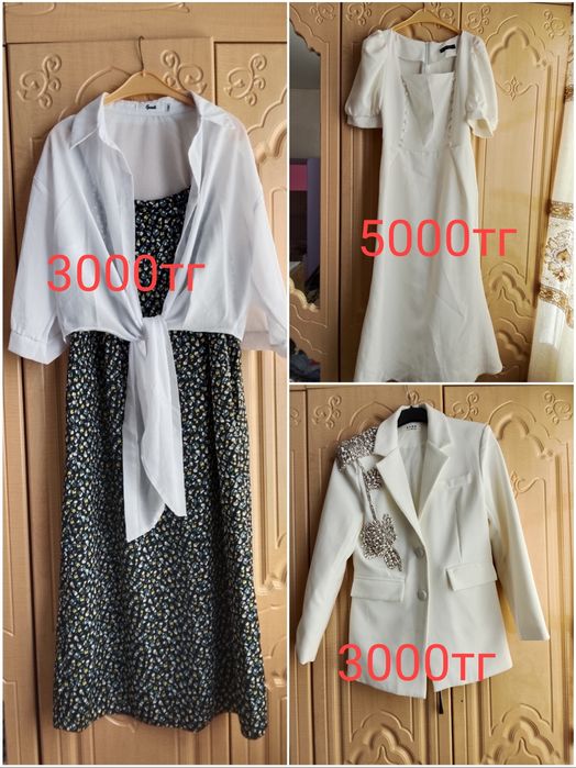 Женские одежды,  платье пиджак