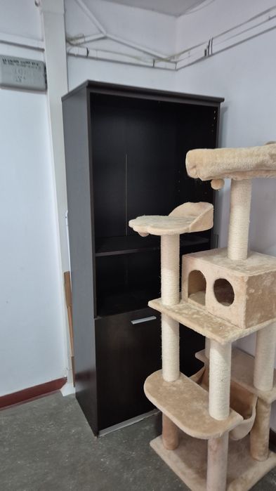 Ansamblu joacă pisici – ca nou