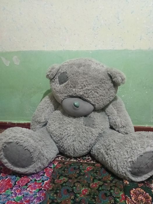 Teddy ayiq xolati yaxshi