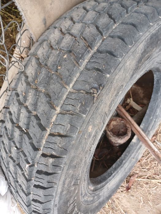 Балондар сатылады